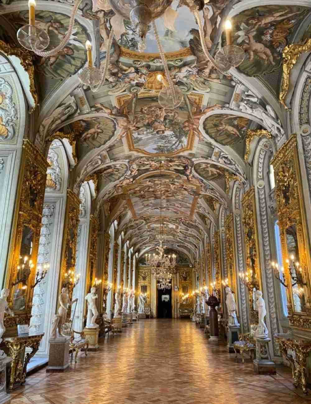 Musei V