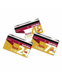 Roma 72 h ticket
