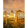 Colosseum, Roman Forum, Palatine Hill Entry Tickets Fast Track Skip the Line