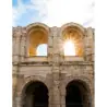 Colosseum, Roman Forum, Palatine Hill Entry Tickets Fast Track Skip the Line