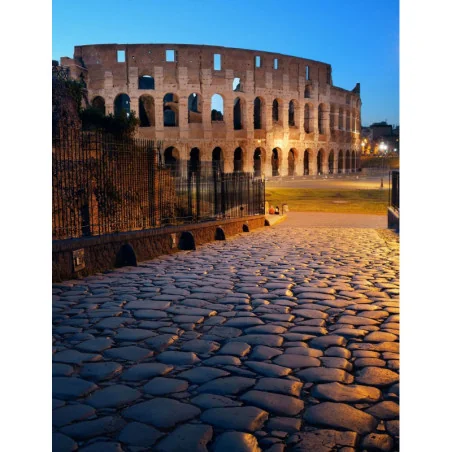 Colosseum, Roman Forum, Palatine Hill Entry Tickets Fast Track Skip the Line