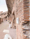 Colosseo e Foro Romano| Visita Guidata | Salta la Fila