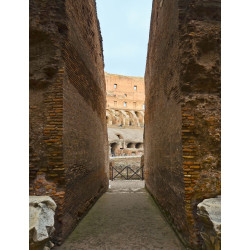 Colosseum Fast Track Guided...