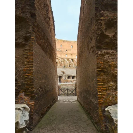 Colosseum Fast Track Guided Tour Express Skip the Line entrance Roman Forum and Palatine Hill