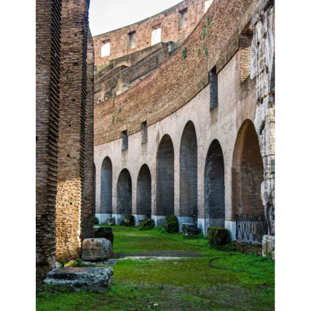 Colosseo con ingresso all'Arena Salta la Filla Fast Track