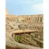 Colosseo con ingresso all'Arena Salta la Filla Fast Track