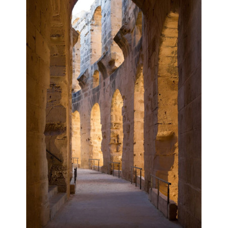 Colosseo Visita Guidata Express Corsia Preferenziale Salta la Fila entrata Fori Romani e Palatino