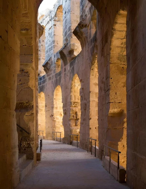 Colosseo Visita Guidata Corsia Preferenziale Salta la Fila entrata Fori Romani e Palatino