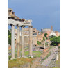 Colosseo, Foro Romano e Palatino Salta la Fila