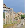 Colosseo, Foro Romano e Palatino Salta la Fila