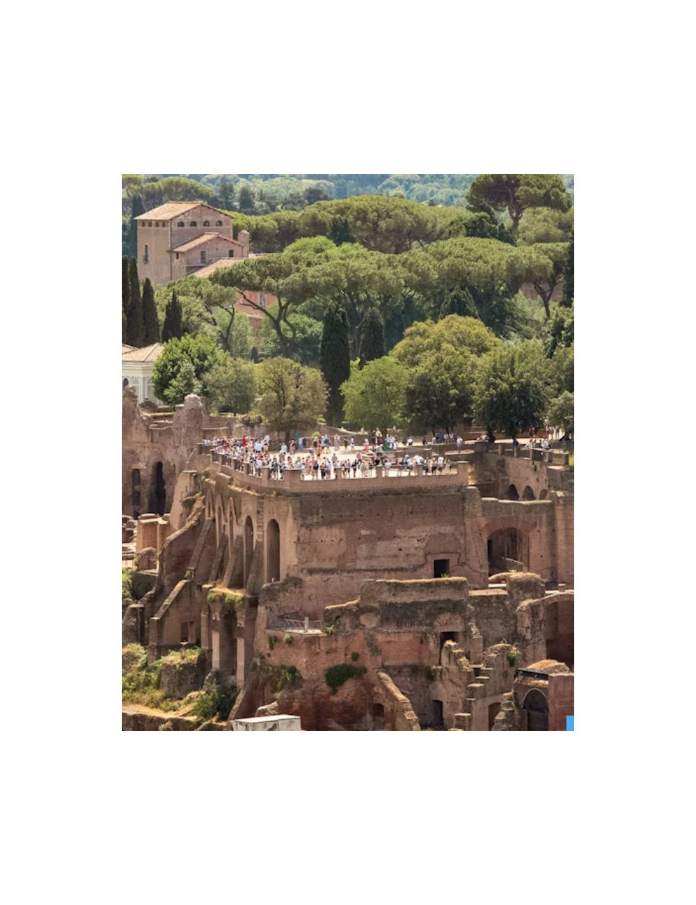 Colosseum, Roman Forum, Palatine Hill Entry Tickets Fast Track Skip the Line