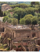 Colosseo, Foro Romano e Palatino Salta la Fila